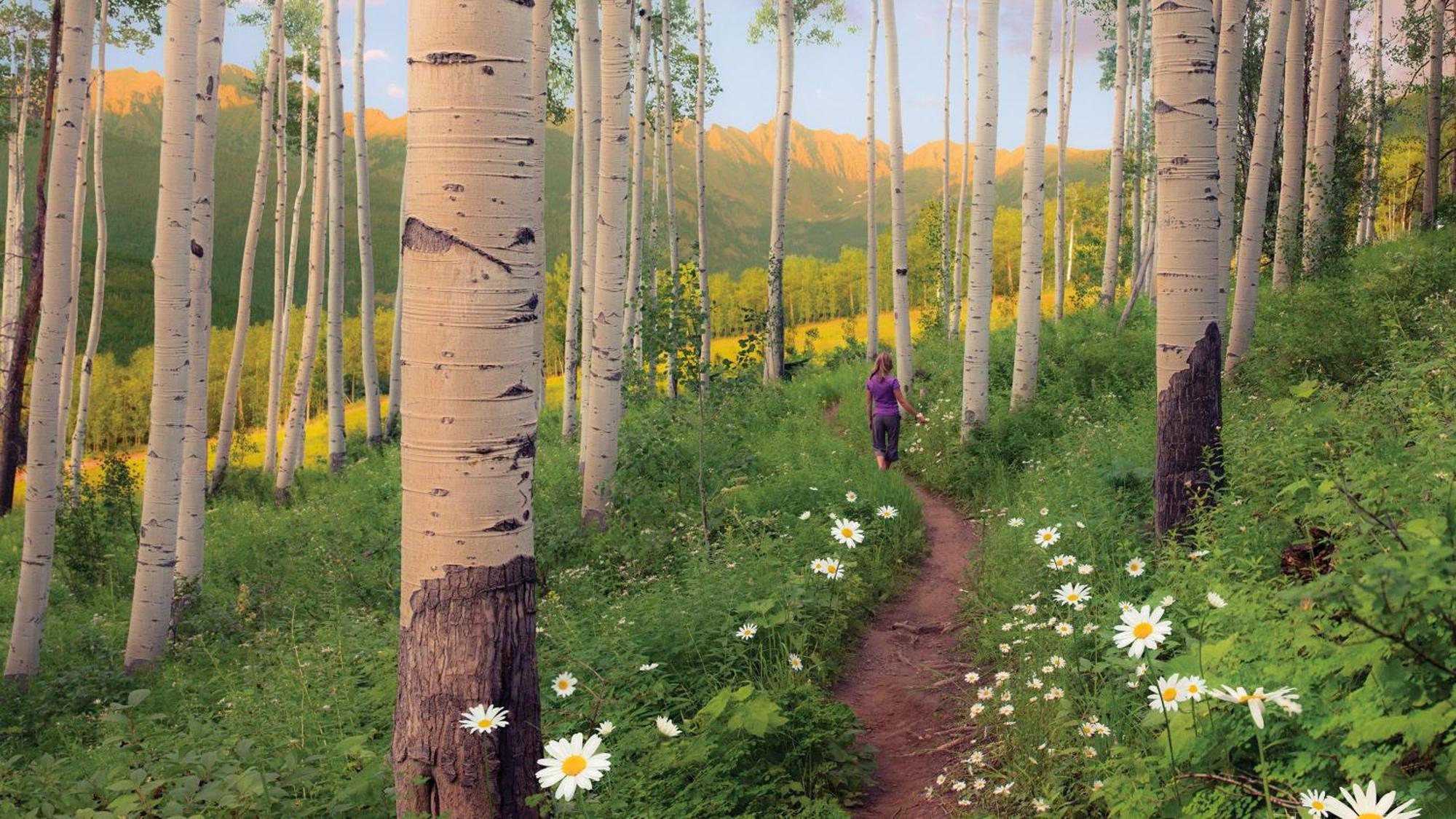 Lift House Lodge, Vail Lionshead Studio Condo, Walk To Gondola Exterior foto
